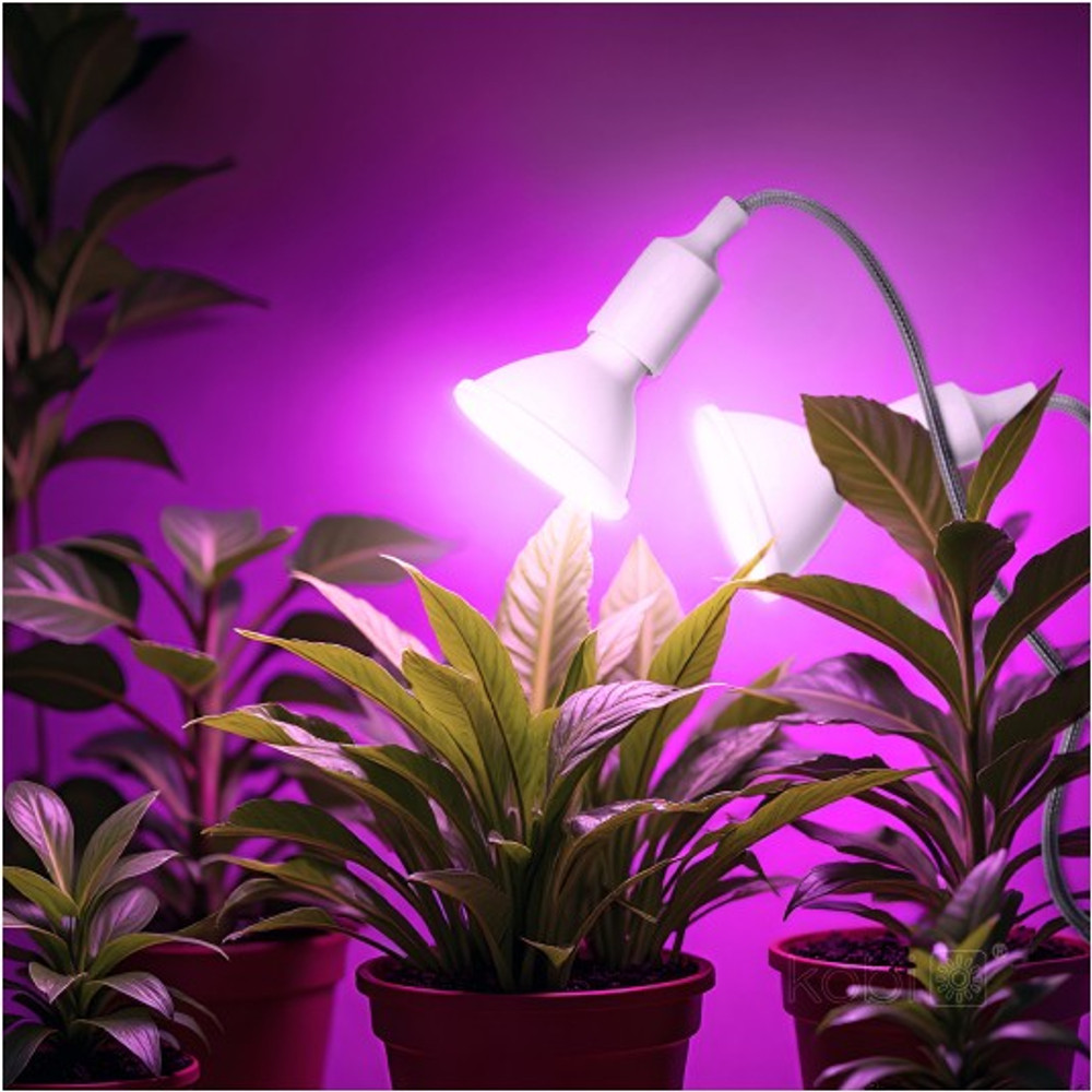 PLANTY CLIP DUO növénylámpa csipeszes rögzítés közeli nézet