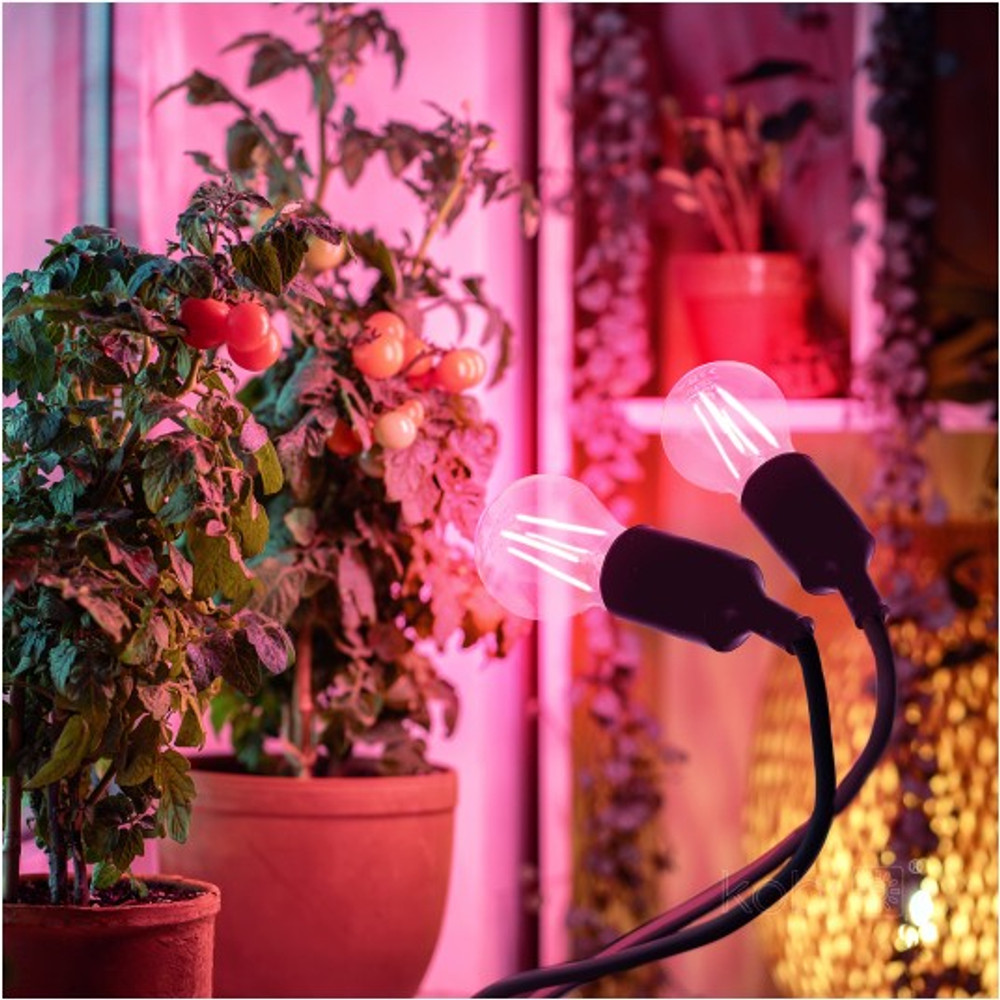 PLANTY CLIP B DUO asztali lámpa 2xE27 fekete 004018